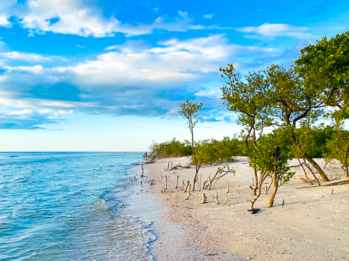 Honeymoon Island